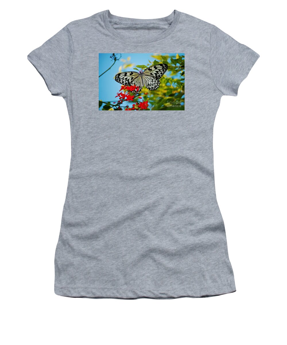 Nature Photography Women's T-Shirt featuring the photograph Kite Butterfly by Peggy Franz