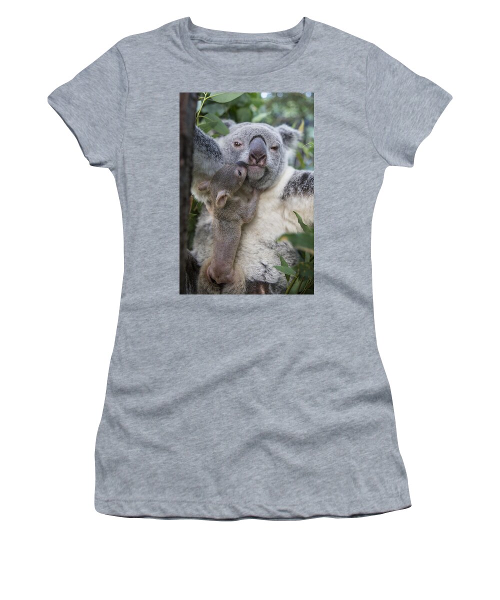 Feb0514 Women's T-Shirt featuring the photograph Koala Joey Exiting Pouch To Nuzzle by Suzi Eszterhas