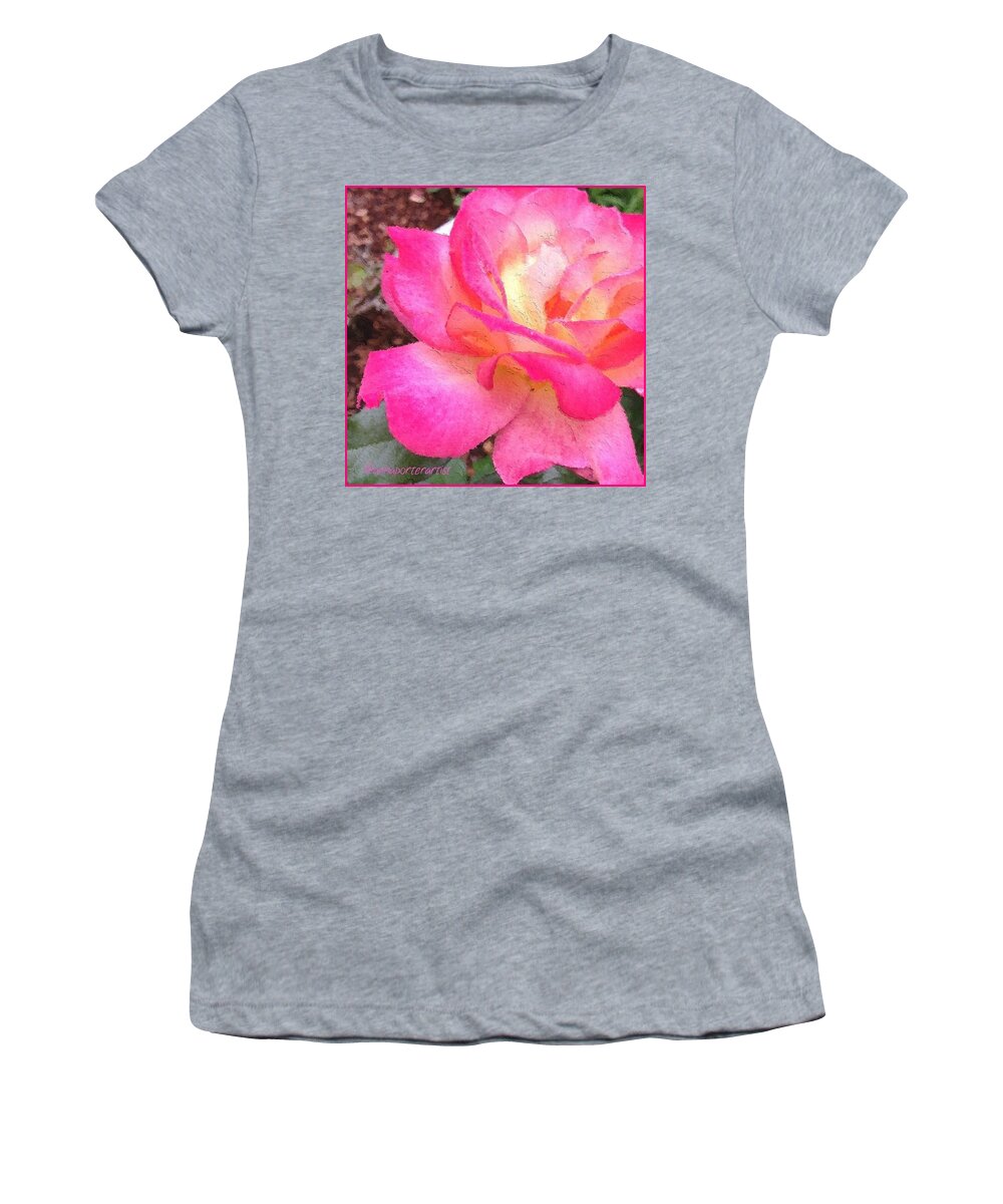 Summer Women's T-Shirt featuring the photograph Lady Diana Rose Growing In My Garden by Anna Porter