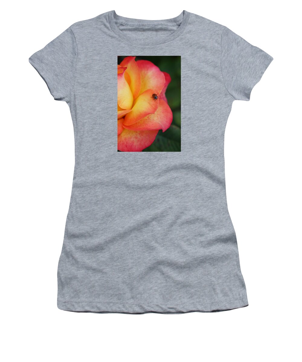 Patricia Sanders Women's T-Shirt featuring the photograph Ladybug On Rose by Her Arts Desire