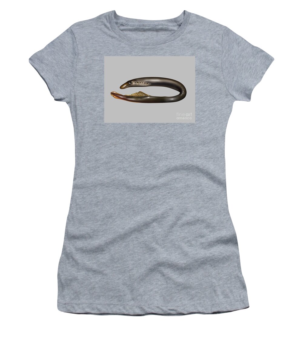Nature Women's T-Shirt featuring the photograph Lamprey Eel, Illustration by Gwen Shockey