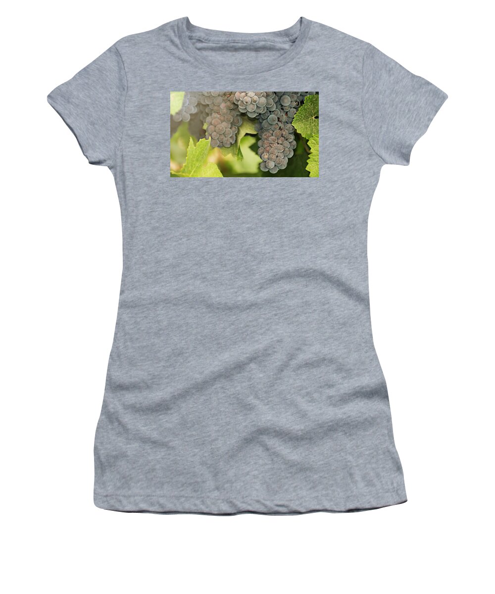 Oregon Women's T-Shirt featuring the photograph Late Harvest Sunshine by KATIE Vigil