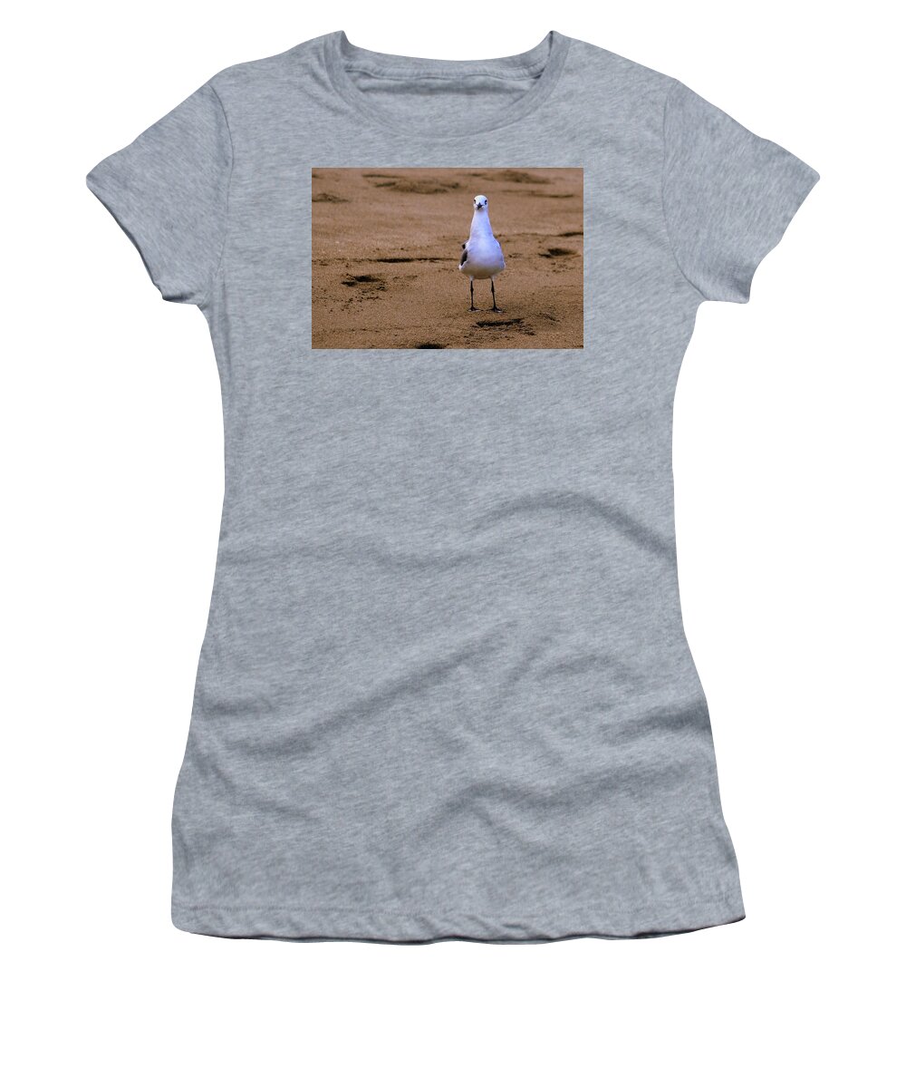Florida Women's T-Shirt featuring the photograph Laughing Gull 004 by Larry Ward