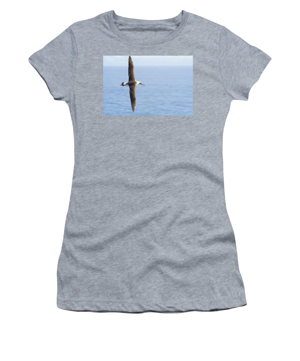 Laysan Albatross Women's T-Shirt featuring the photograph Laysan Albatross No 1 - Kilauea - Kauai - Hawaii by Belinda Greb