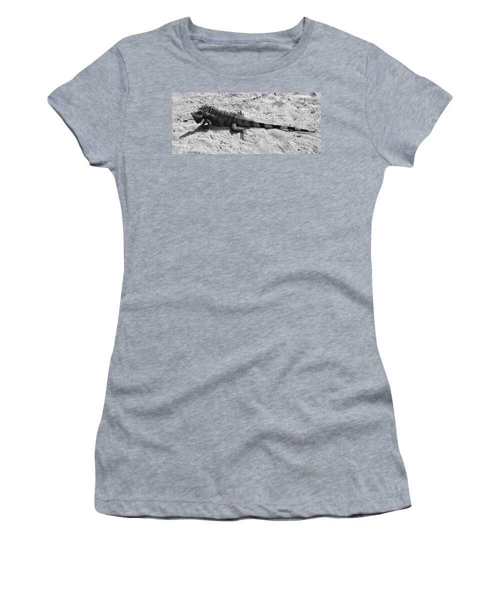 Iguana Women's T-Shirt featuring the photograph Lazy Lizard by Luke Moore