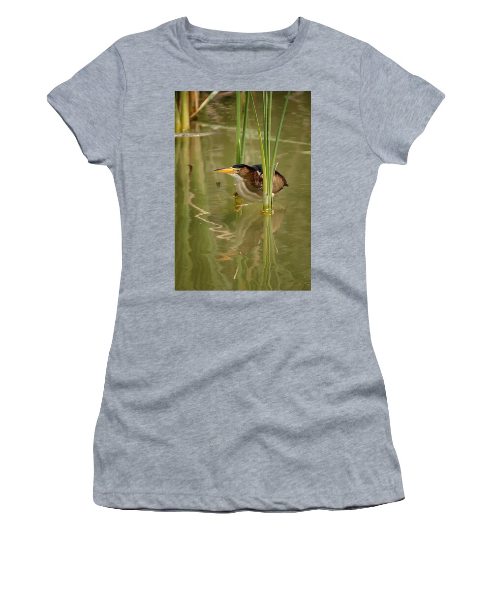 Least Bittern Women's T-Shirt featuring the photograph Least Bittern by Betty Depee