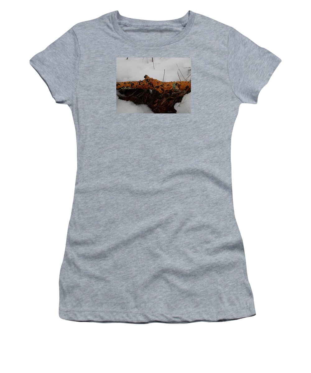 Nature Women's T-Shirt featuring the photograph Lichen N'Snow by Robert Nickologianis
