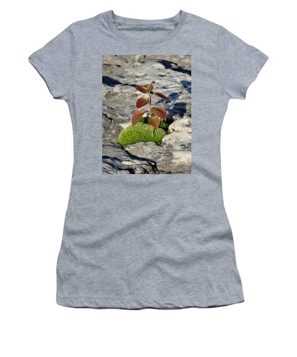 Growth Women's T-Shirt featuring the photograph Life on a Rock by David T Wilkinson