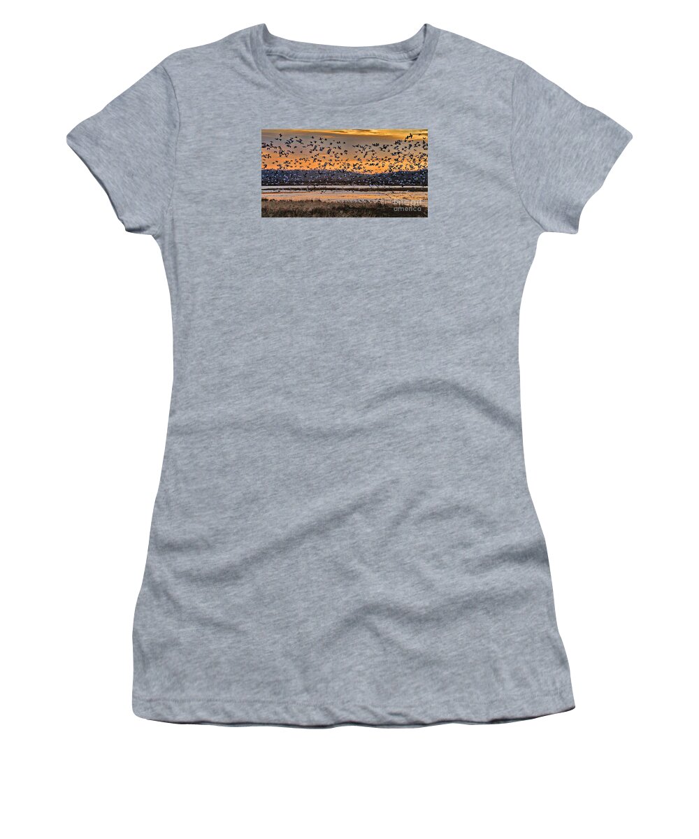 Migration Women's T-Shirt featuring the photograph Light of Dawn by Elizabeth Winter
