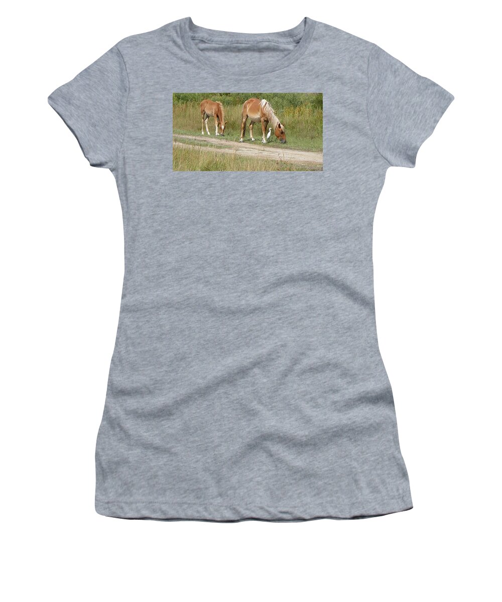 Wild Spanish Mustang Women's T-Shirt featuring the photograph Like Mother Like Daughter by Kim Galluzzo