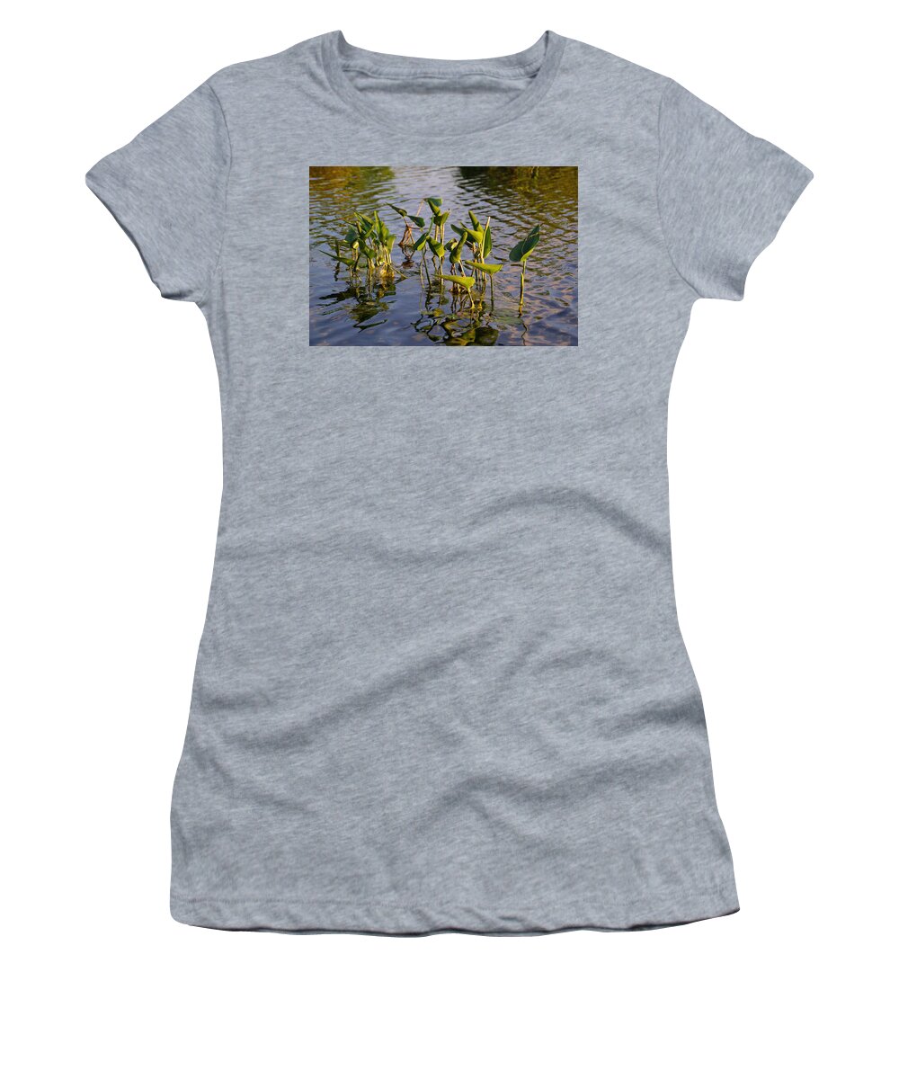  Autumn Women's T-Shirt featuring the photograph Lillies in Evening Glory by Lynda Lehmann