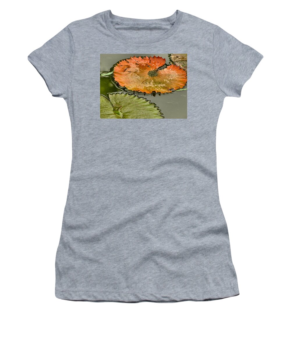 Lotus Women's T-Shirt featuring the photograph Lily Pads by Jennifer Wheatley Wolf