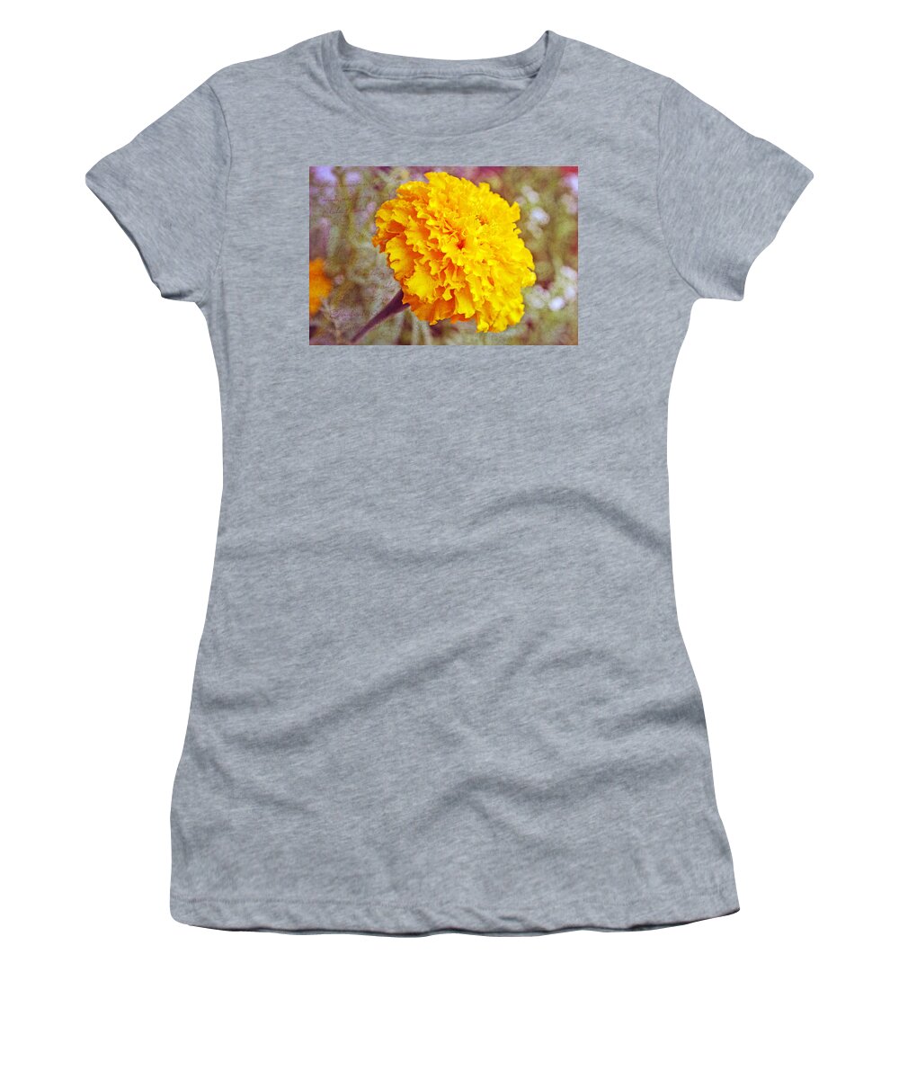 Nature Women's T-Shirt featuring the photograph Little Golden Marigold by Kay Novy