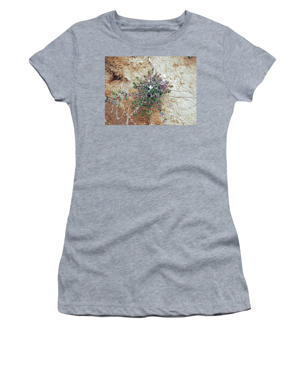 Wildflower Women's T-Shirt featuring the photograph Little Himalayan Jewel by Pema Hou