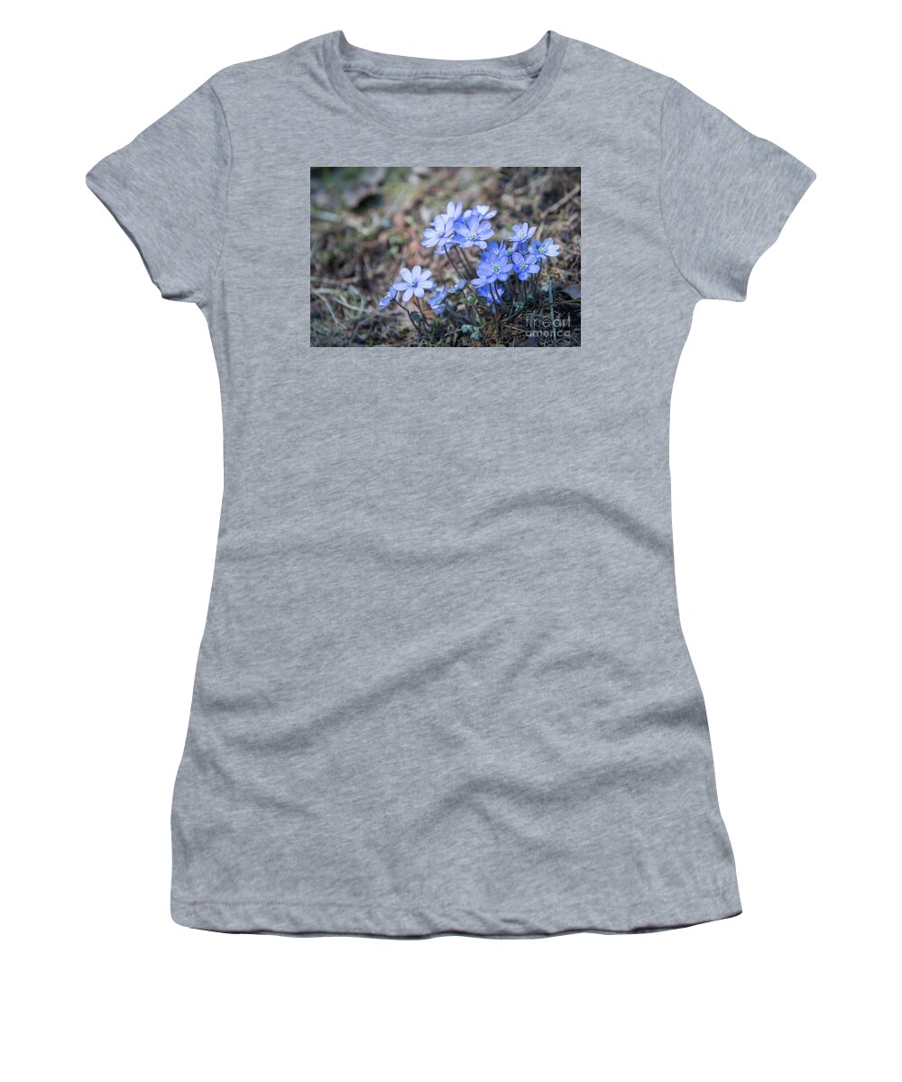 Hepatica Nobilis Women's T-Shirt featuring the photograph liverleaf II by Hannes Cmarits