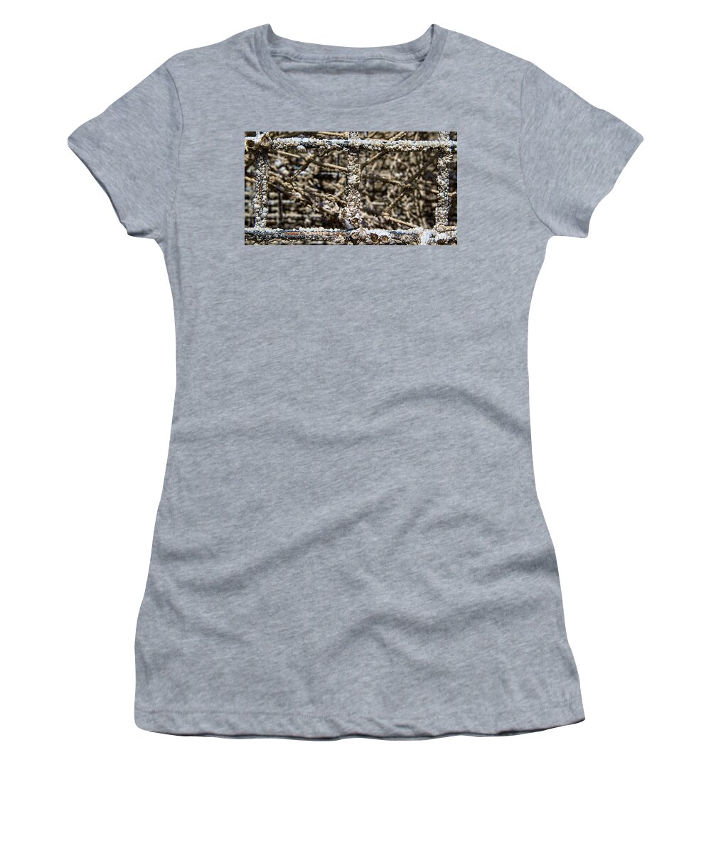 Lobster Women's T-Shirt featuring the photograph Lobster Trap by Natalie Rotman Cote