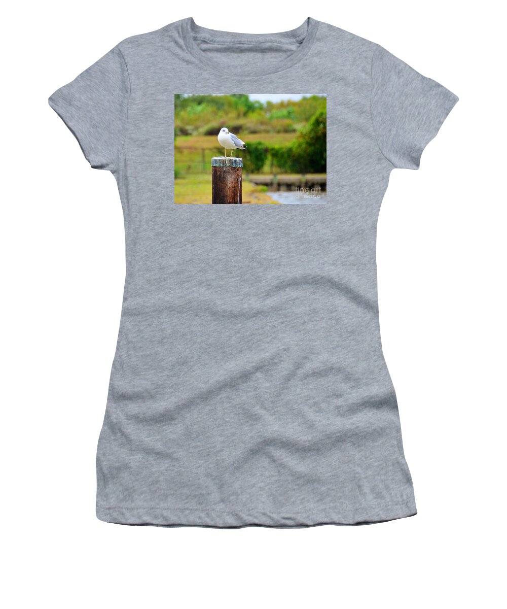 Bird Women's T-Shirt featuring the photograph Lonely Bird by Debbi Granruth