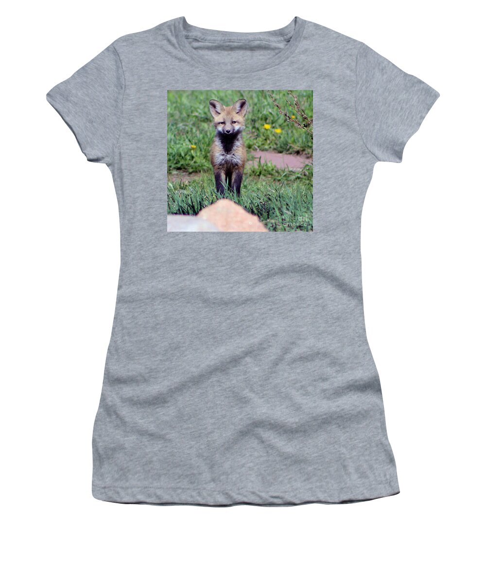 Baby Fox Women's T-Shirt featuring the photograph Take Me Home by Fiona Kennard