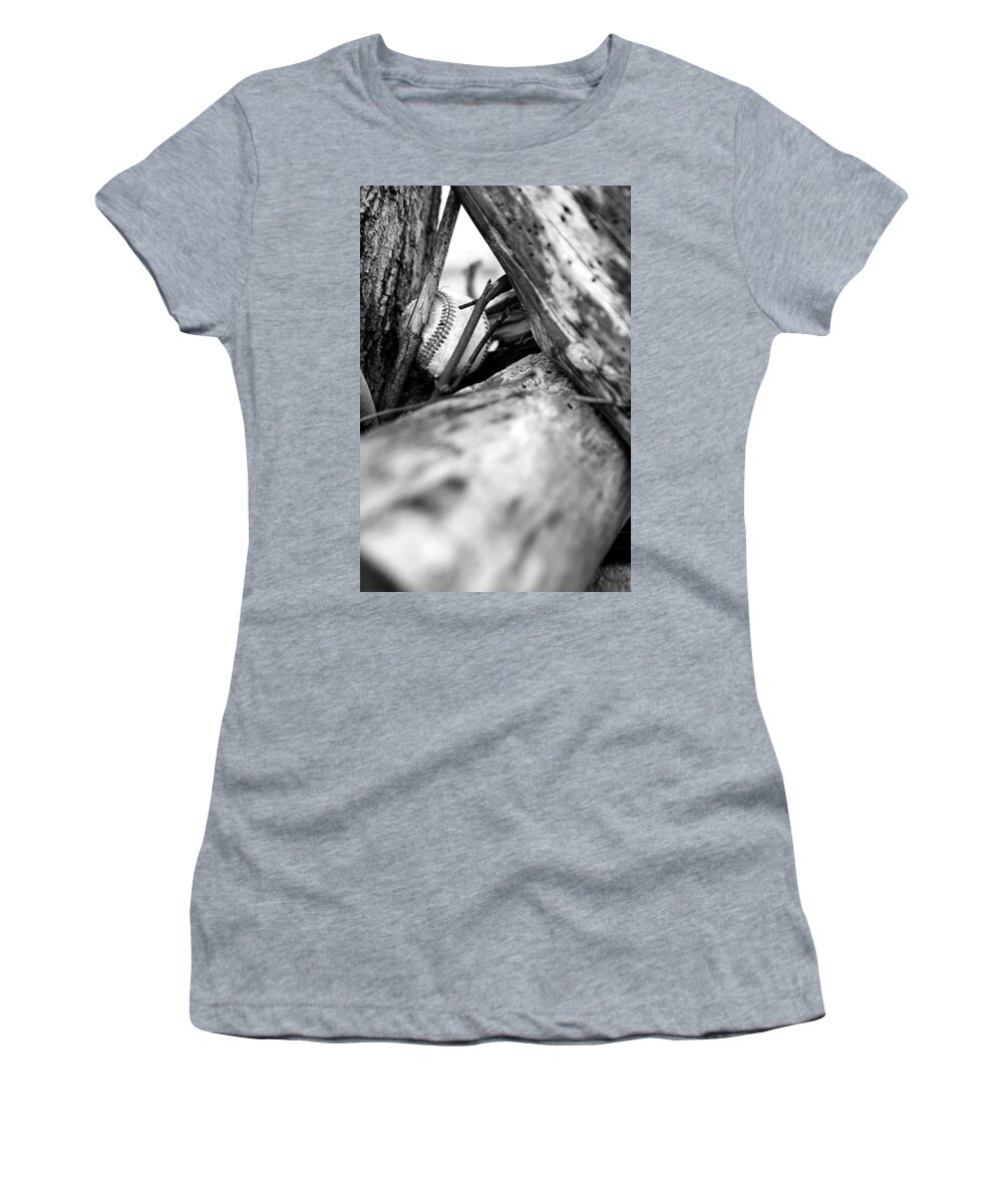 Baseball Women's T-Shirt featuring the photograph Lost and Found by Courtney Webster
