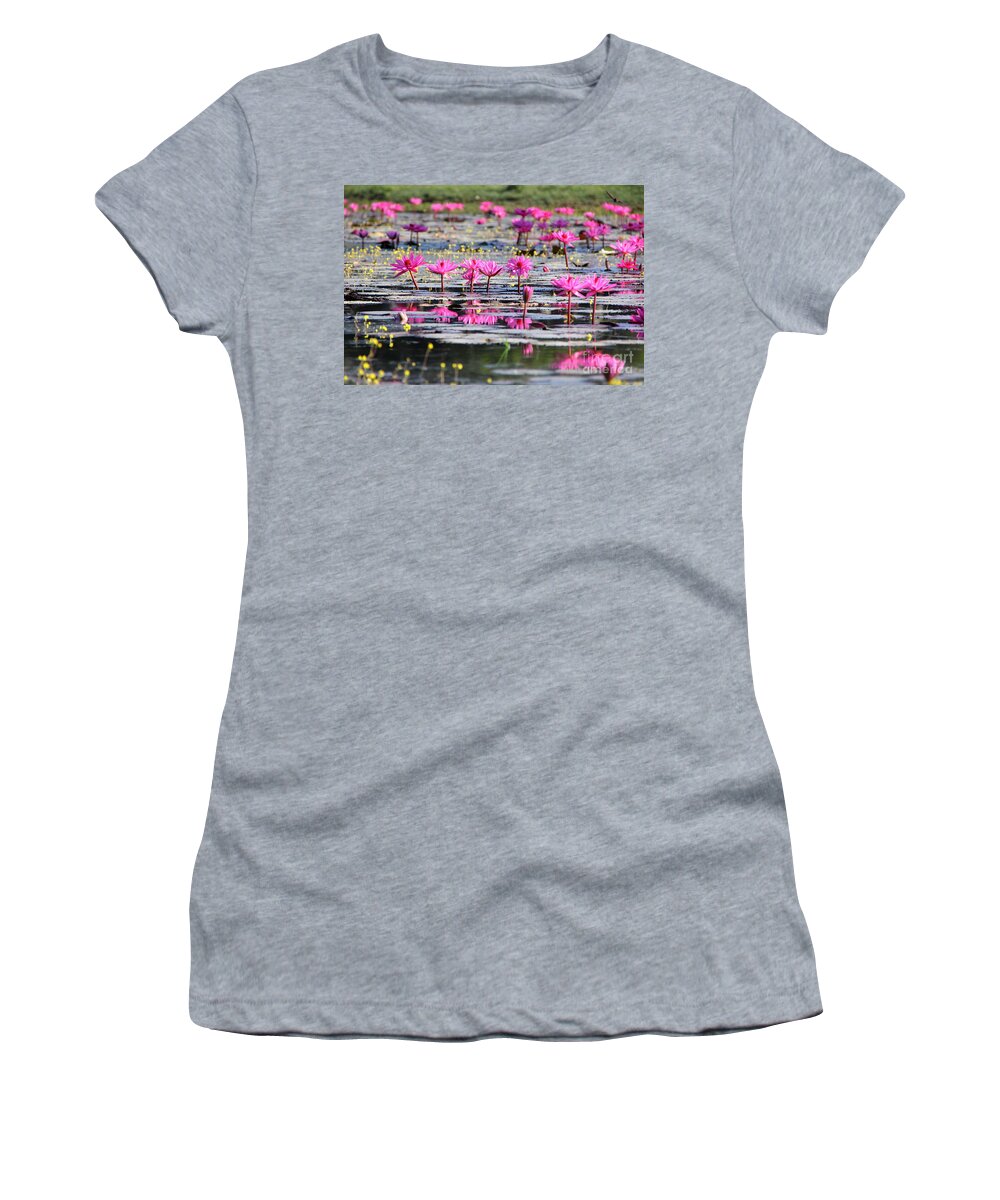 Aquatic Women's T-Shirt featuring the photograph Lotus flowers by Amanda Mohler