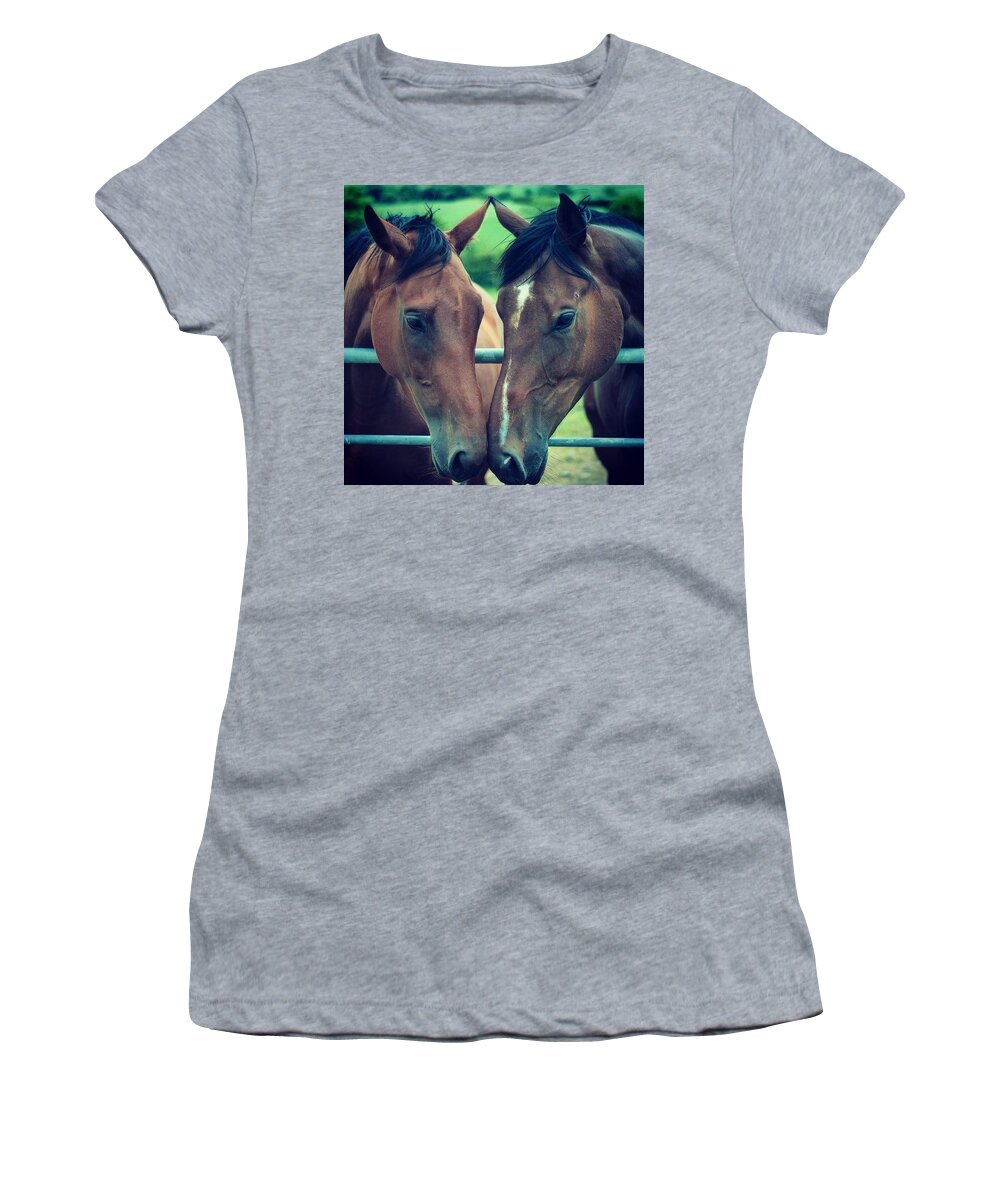 Horses Women's T-Shirt featuring the photograph Love by Aleck Cartwright