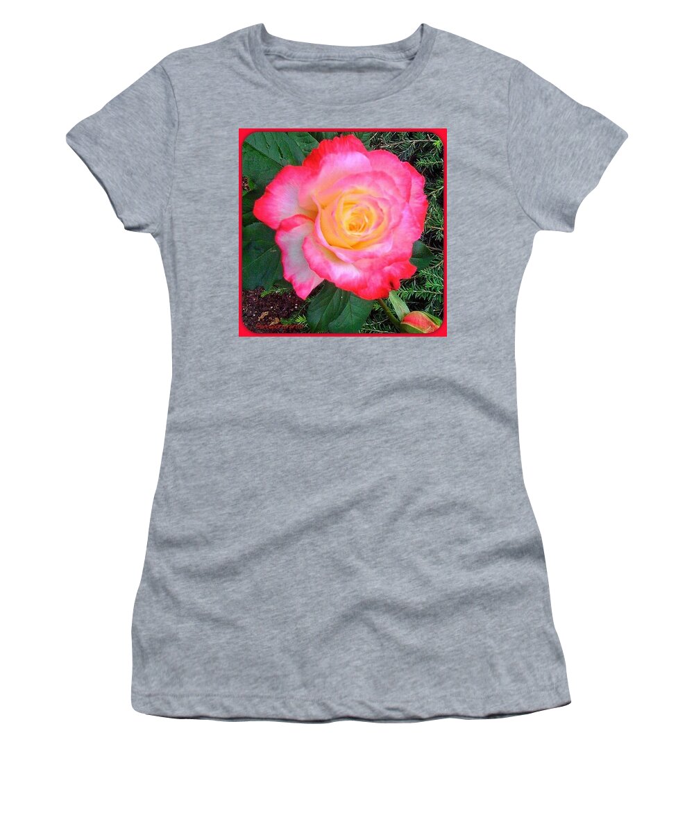 Instanaturelover Women's T-Shirt featuring the photograph Love's First Blush - A Little Red And by Anna Porter