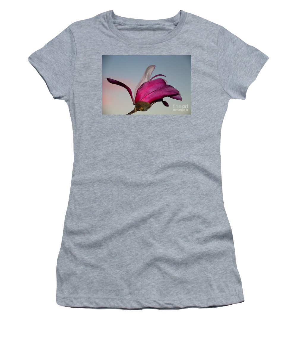 Beautiful Women's T-Shirt featuring the photograph Magnolia Blossom in the Sunset by Amanda Mohler