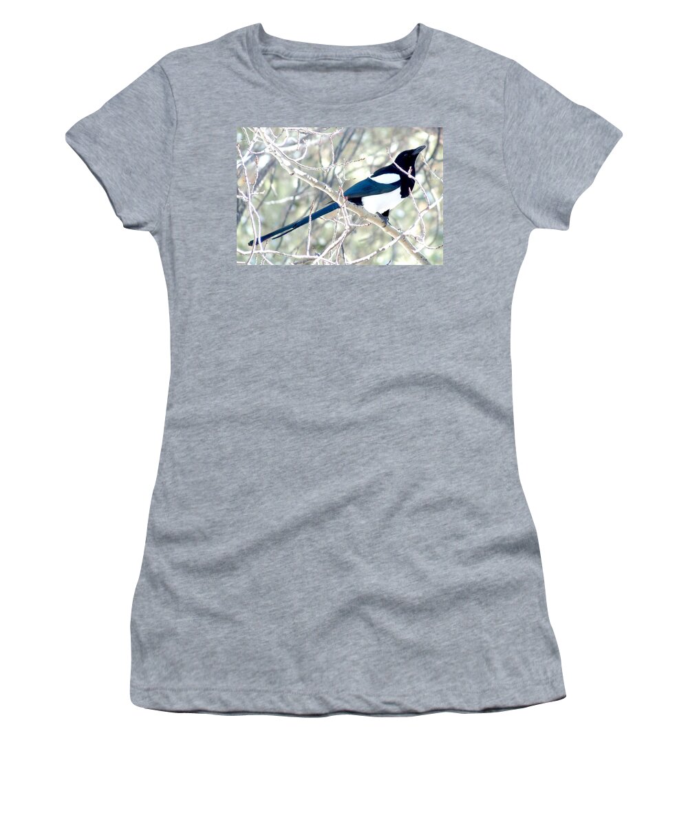 Colorado Women's T-Shirt featuring the photograph Magpie on Aspen Tree by Marilyn Burton