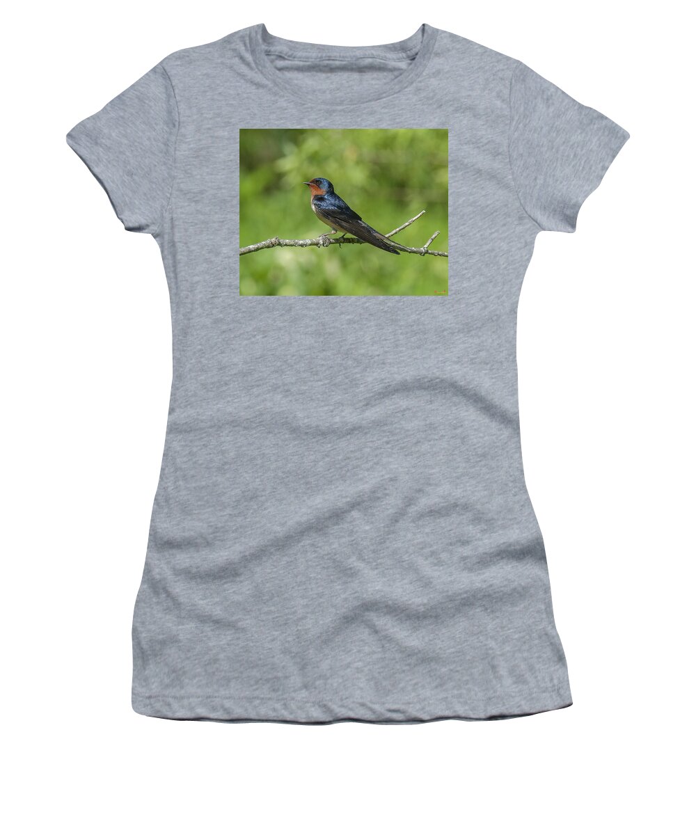Marsh Women's T-Shirt featuring the photograph Male Barn Swallow Hirundo rustica DSB262 by Gerry Gantt