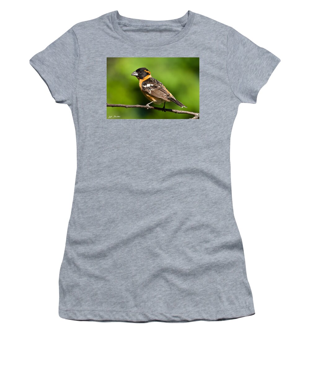 Animal Women's T-Shirt featuring the photograph Male Black Headed Grosbeak in a Tree by Jeff Goulden