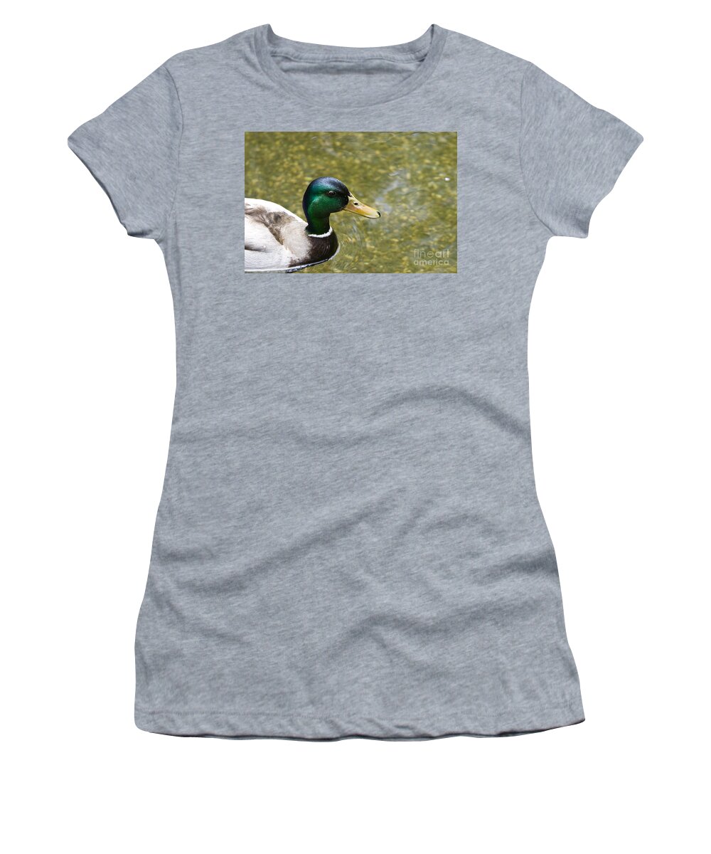 Mallard Women's T-Shirt featuring the photograph Mallard Duck Closeup by David Millenheft