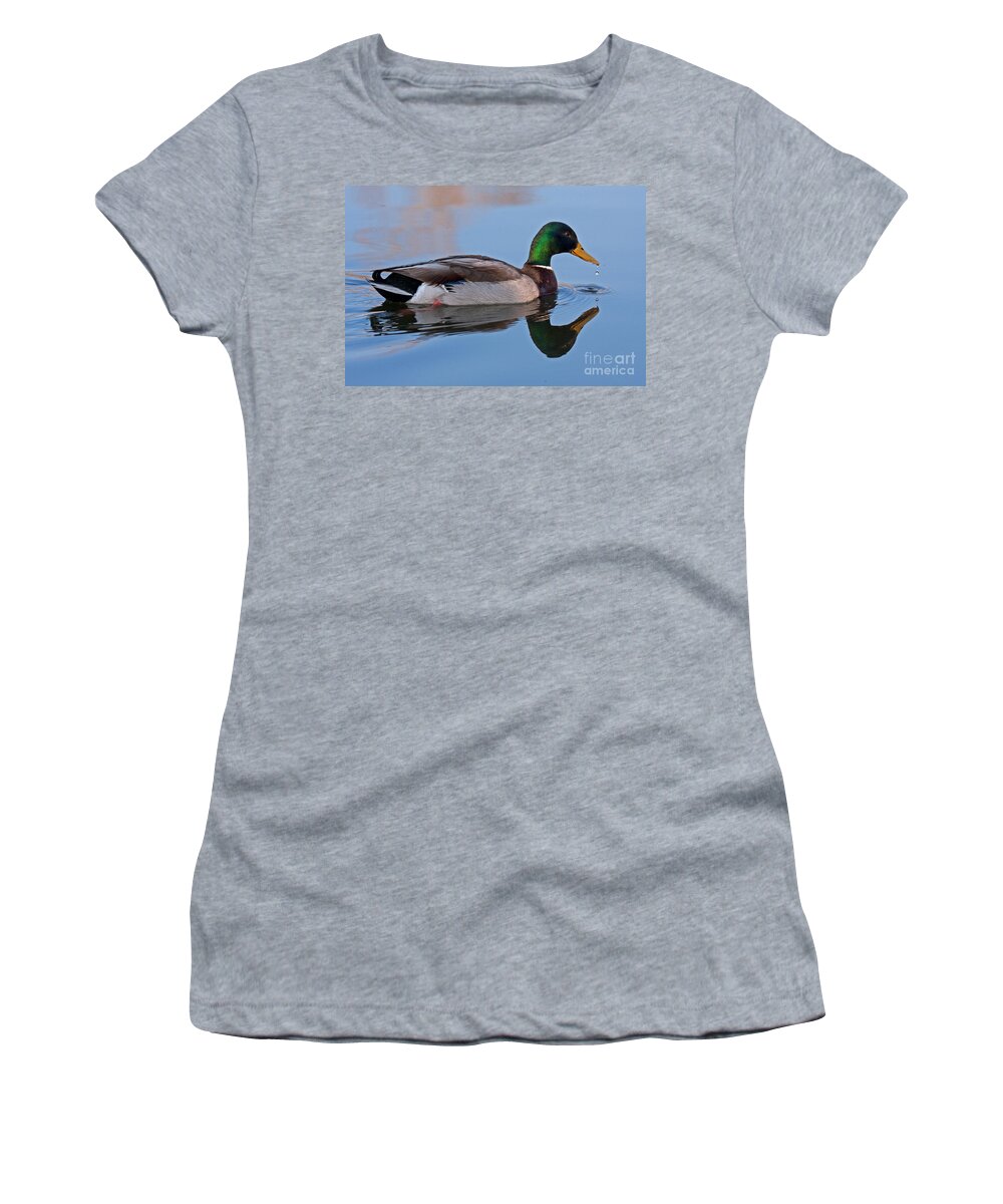 Anas Platyrhynchos Women's T-Shirt featuring the photograph Mallard Duck in Sterne Lake by Fred Stearns