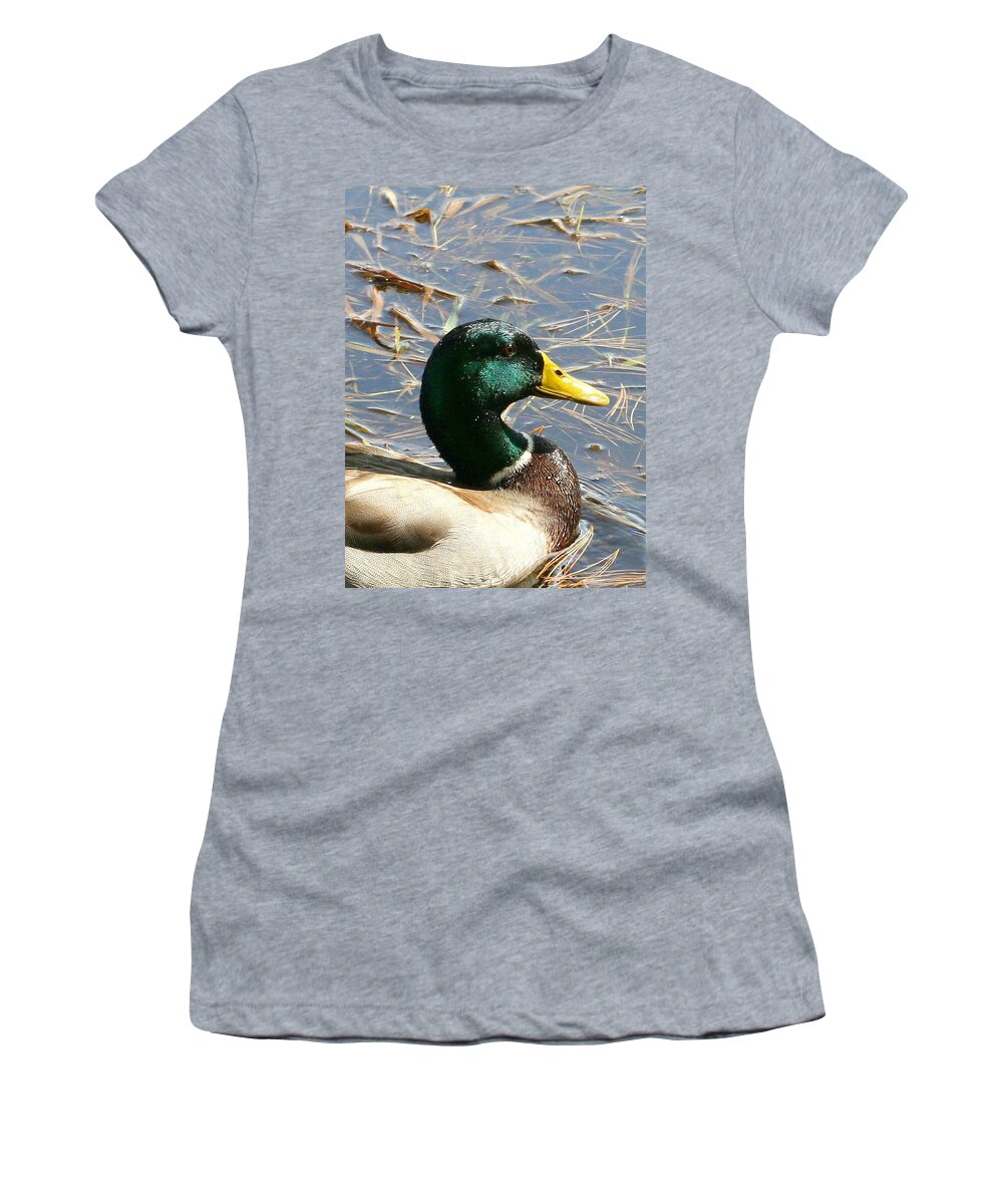 Mallard Drake Women's T-Shirt featuring the photograph Mallard Duck Portrait by Neal Eslinger