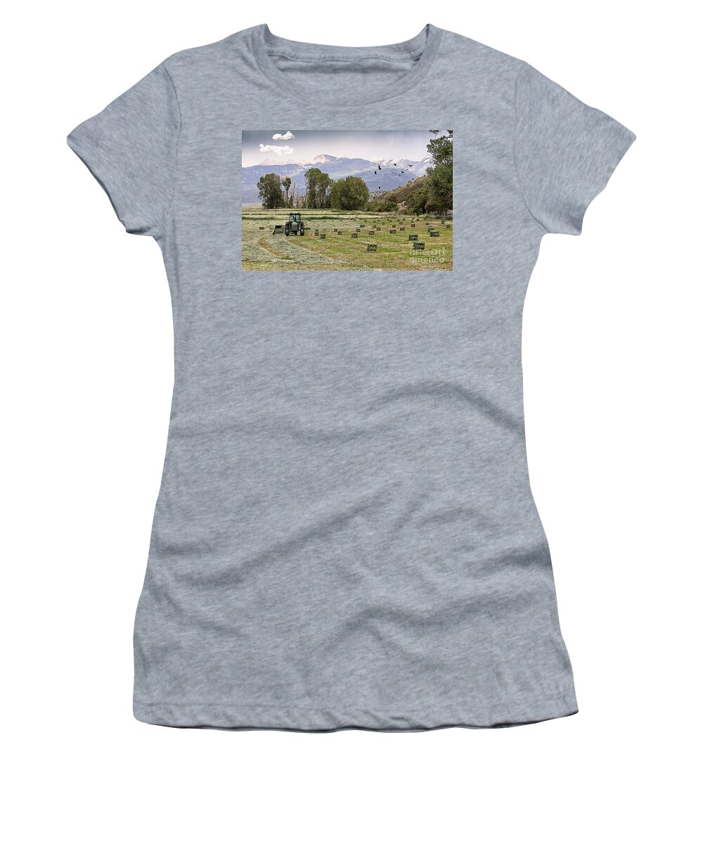 Agriculture Women's T-Shirt featuring the photograph Mancos Colorado Landscape by Janice Pariza