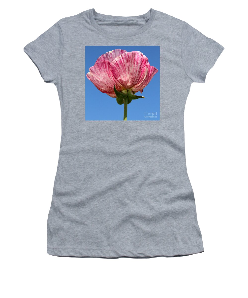 Ranunculus Women's T-Shirt featuring the photograph Marbled Mable Ranunculus Flower By Diana Sainz by Diana Raquel Sainz