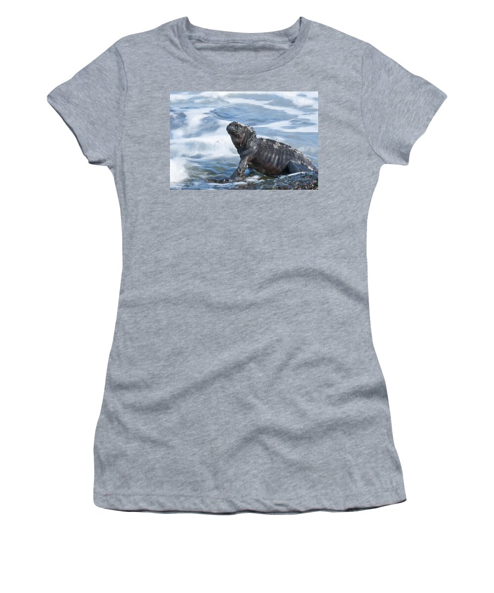 534122 Women's T-Shirt featuring the photograph Marine Iguana Academy Bay Galapagos by Tui De Roy