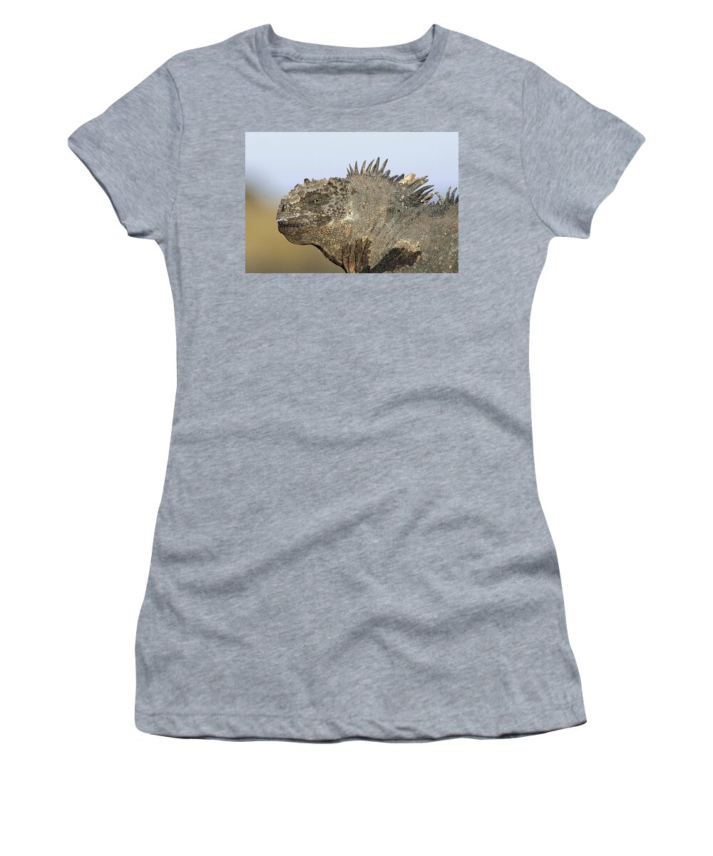 Feb0514 Women's T-Shirt featuring the photograph Marine Iguana Male Santa Cruz Island by Tui De Roy