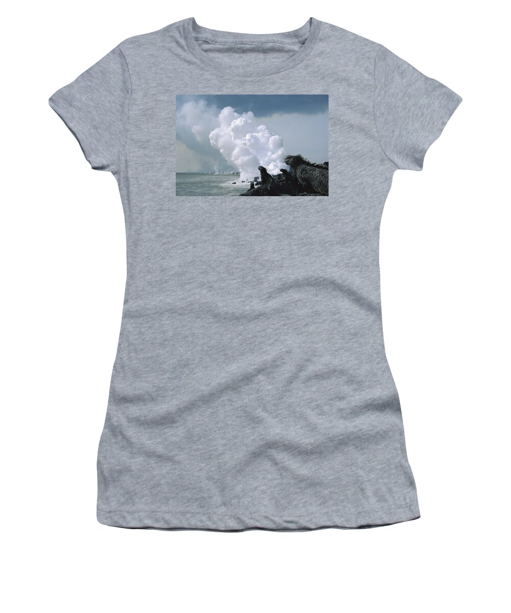 Feb0514 Women's T-Shirt featuring the photograph Marine Iguanas And Steam From Lava by Tui De Roy