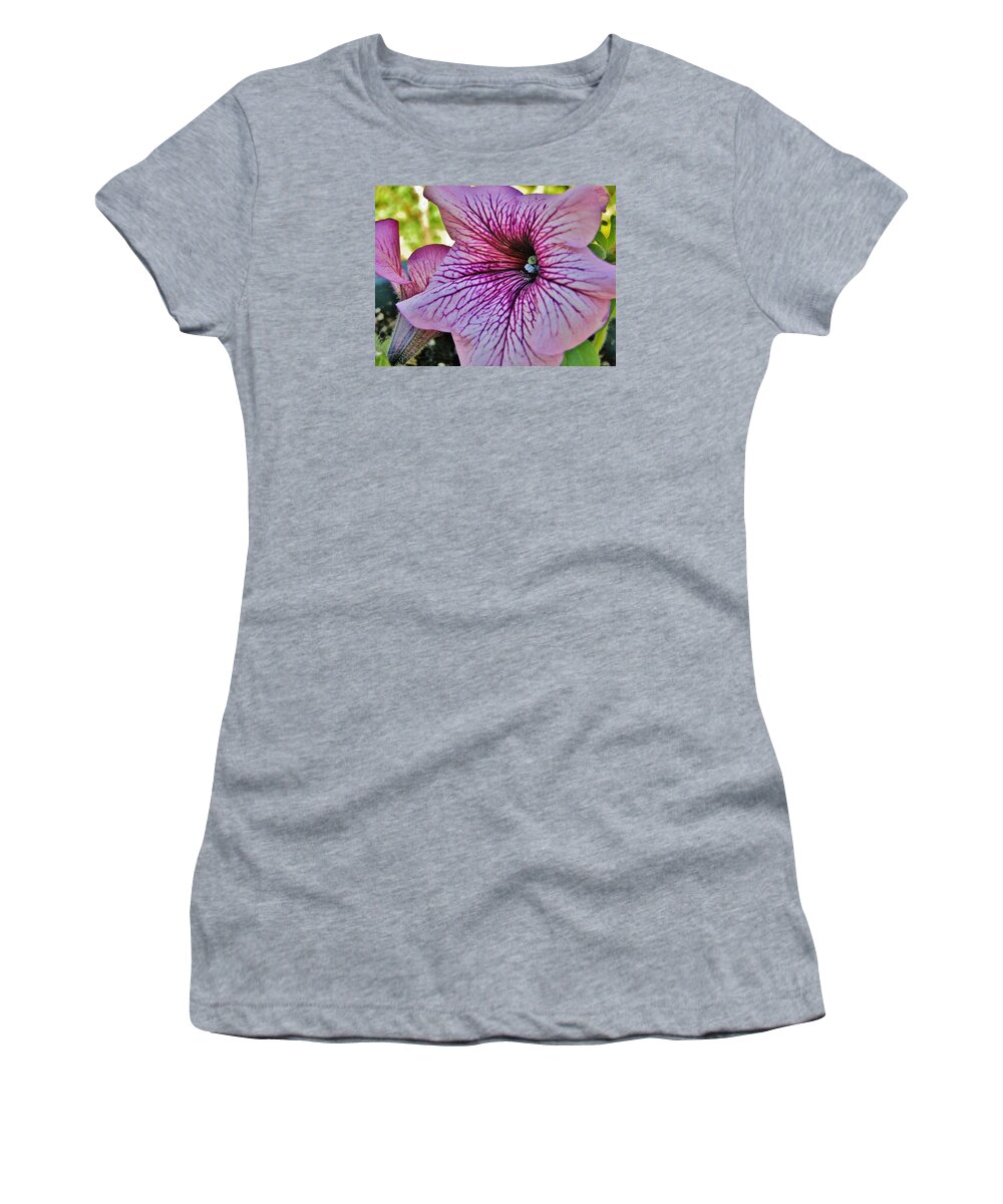 Flower Women's T-Shirt featuring the photograph Mauve Petunia by VLee Watson