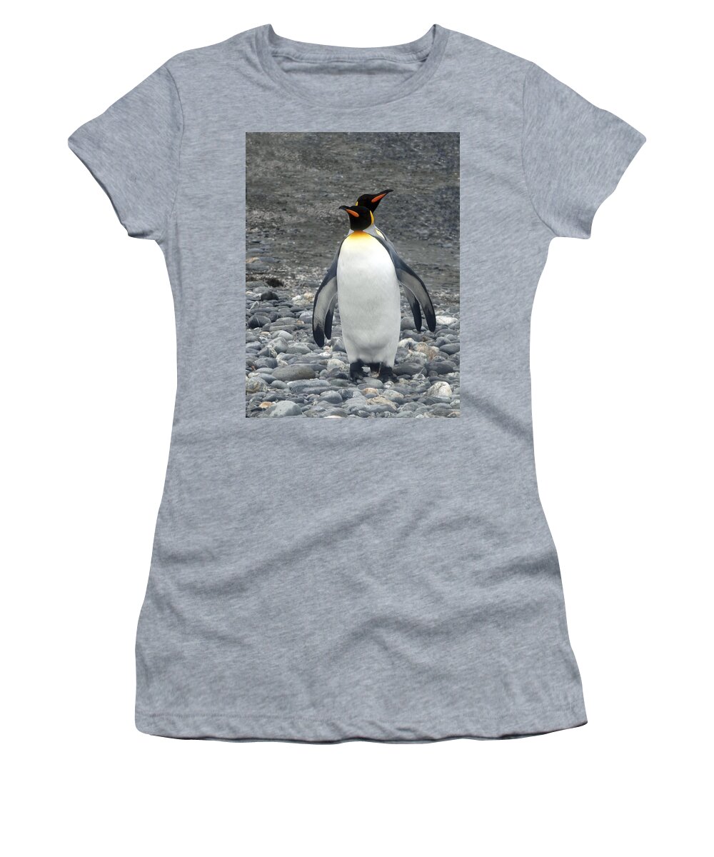 Penguins Women's T-Shirt featuring the photograph Me And My Shadow by Ginny Barklow