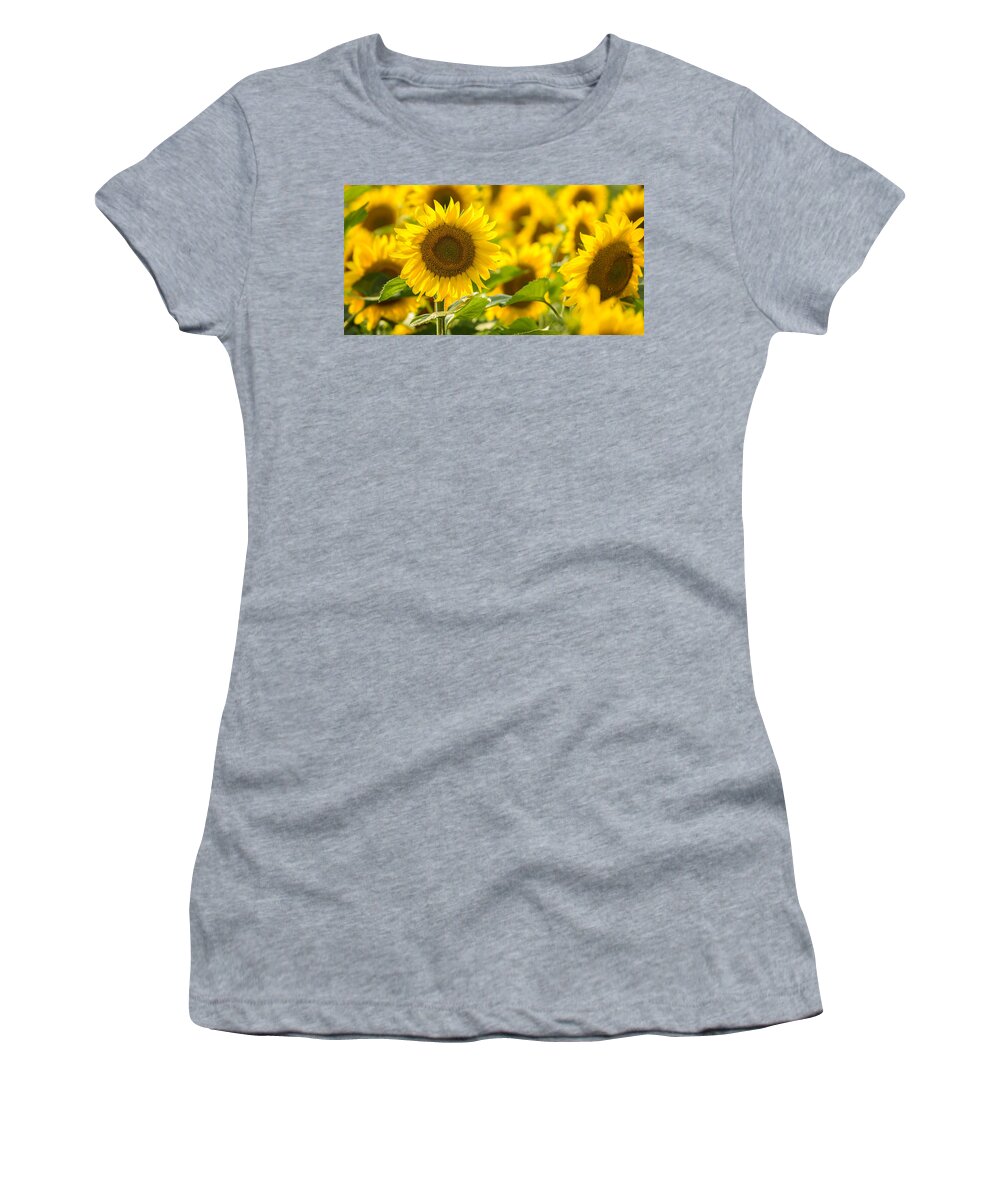 Sunflowers Women's T-Shirt featuring the photograph Mellow Yellow by Mark Rogers