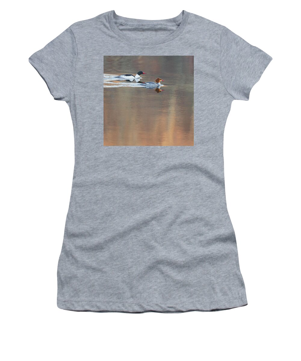 Reflection Women's T-Shirt featuring the photograph Merganser Morning Square by Bill Wakeley