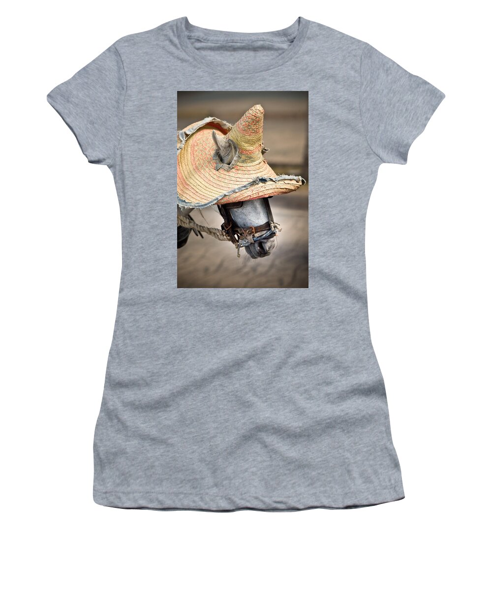Caribbean Women's T-Shirt featuring the photograph Mexican Burro by John Magyar Photography