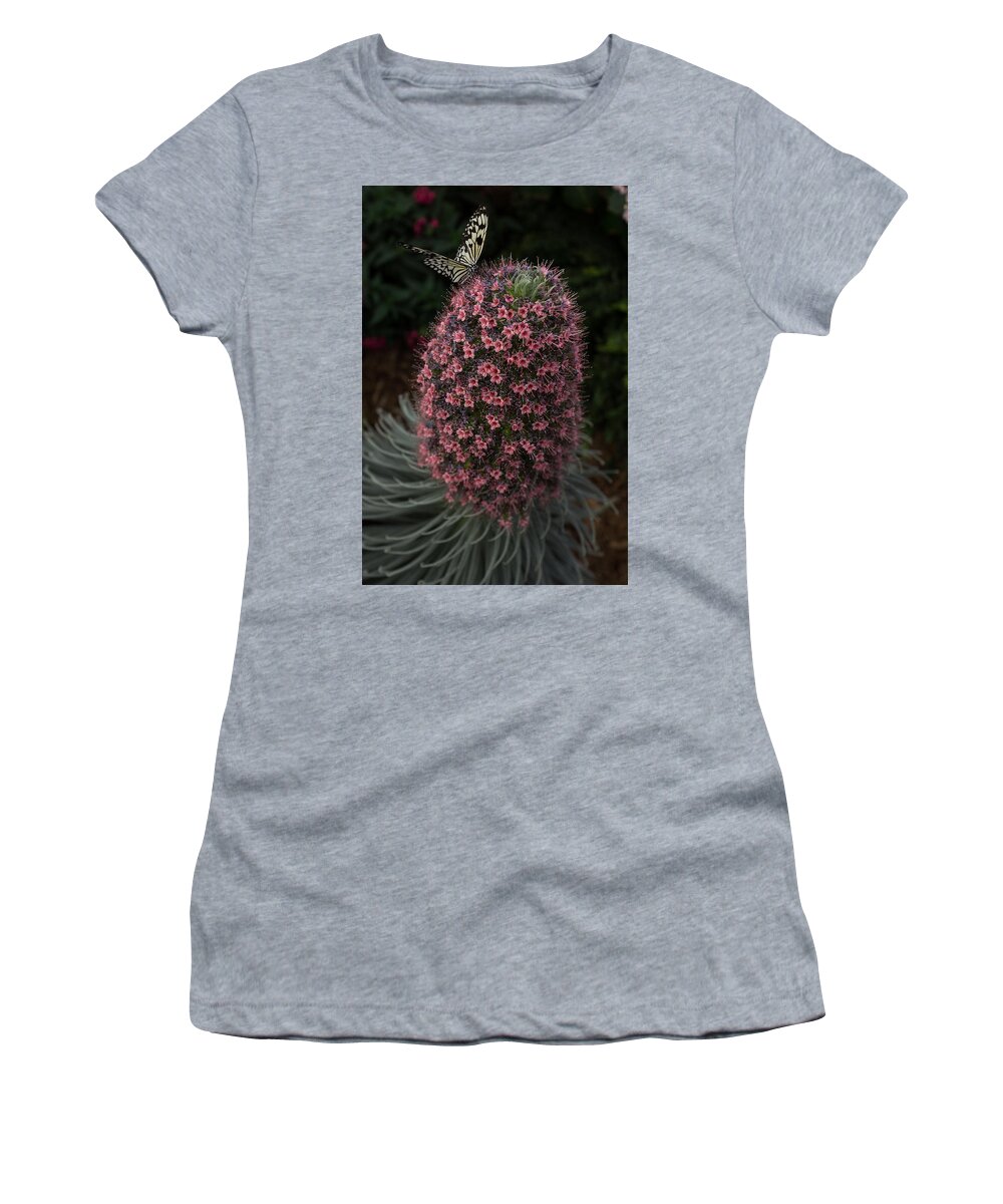 Flower Women's T-Shirt featuring the photograph Millions of Tiny Flowers Plus a Butterfly by Georgia Mizuleva