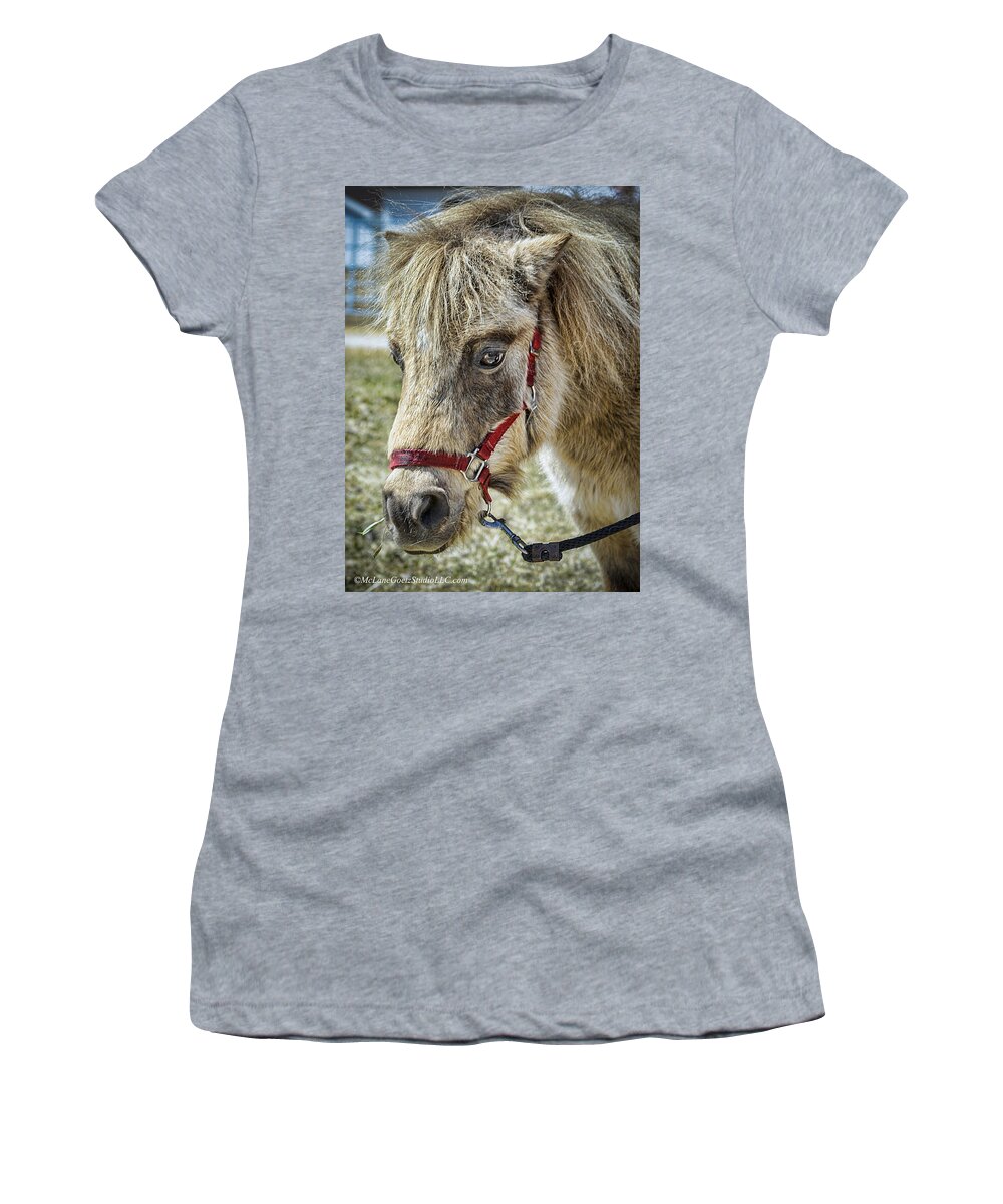 Horse Women's T-Shirt featuring the photograph Minature Horse by LeeAnn McLaneGoetz McLaneGoetzStudioLLCcom