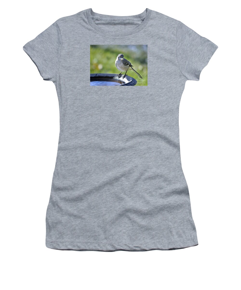 Nature Women's T-Shirt featuring the photograph Mockingbird Arkansas State Bird by Nava Thompson