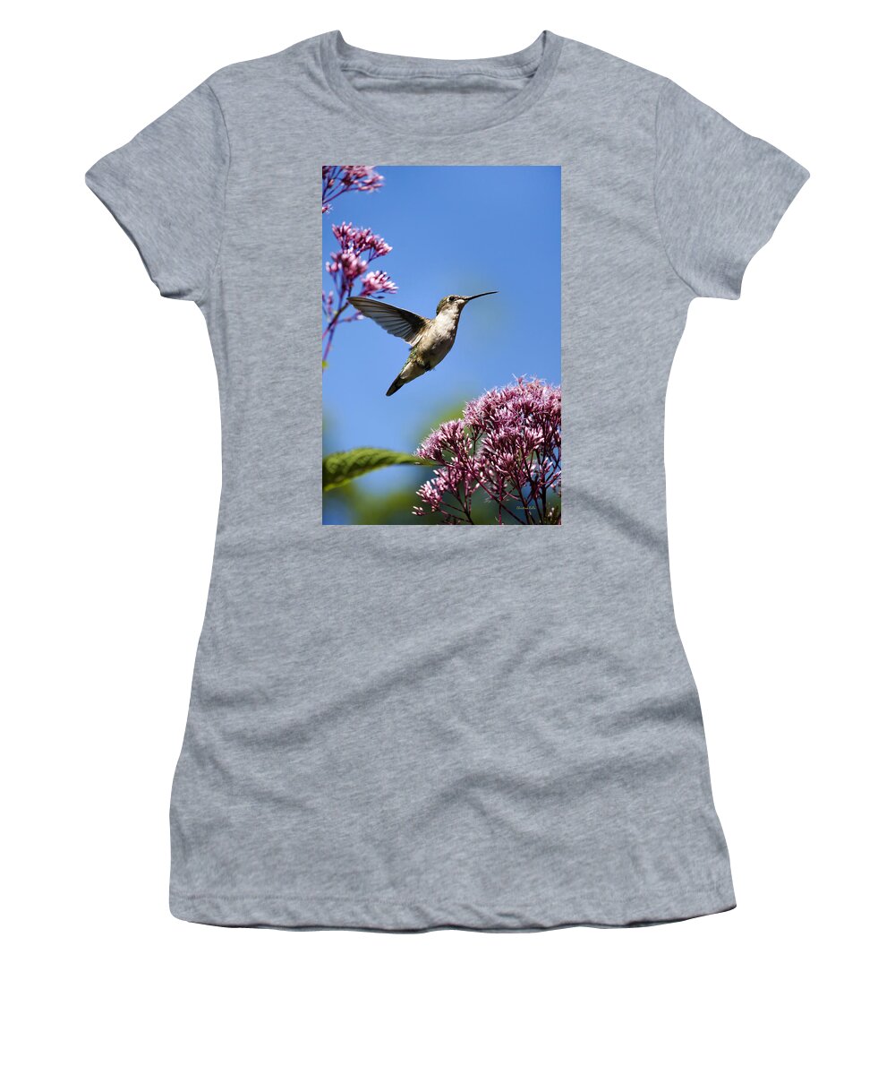 Hummingbird Women's T-Shirt featuring the photograph Modern Beauty by Christina Rollo