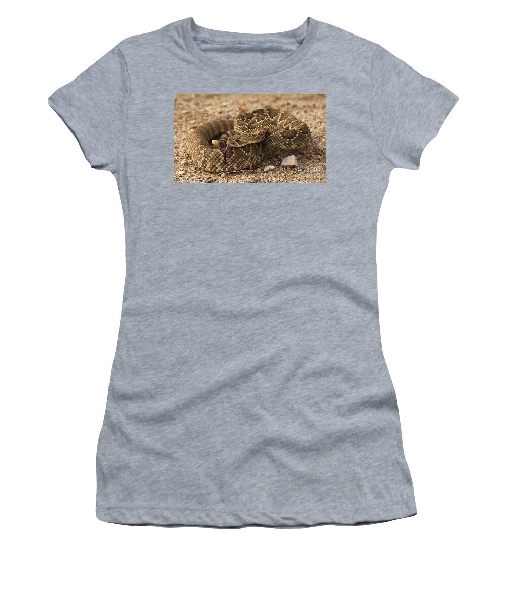 Snake Women's T-Shirt featuring the photograph Mojave Green Rattlesnake by Vivian Christopher