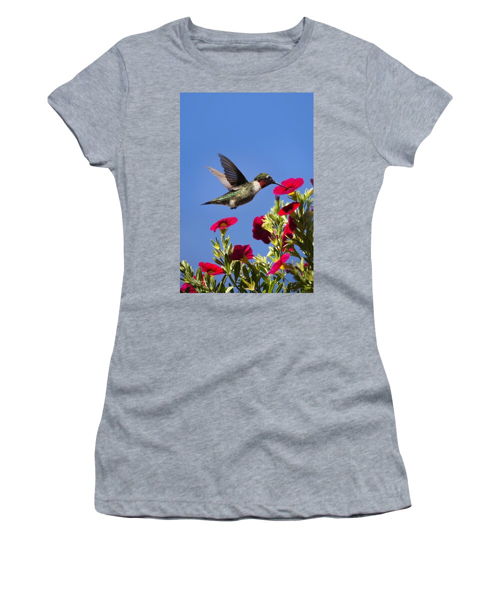 Hummingbird Women's T-Shirt featuring the photograph Moments of Joy by Christina Rollo