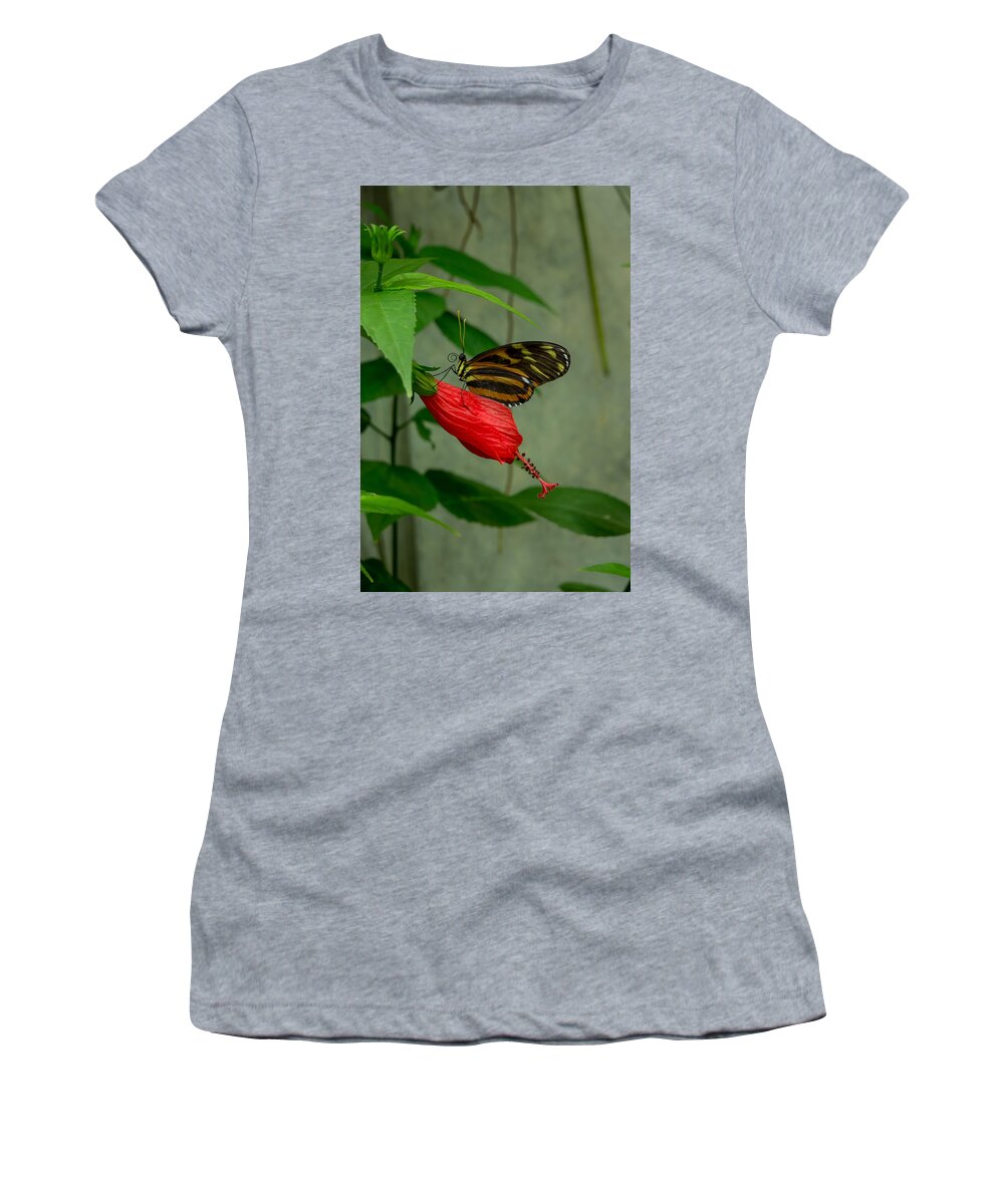 Butterfly Women's T-Shirt featuring the photograph Monarch Butterfly by Weir Here And There